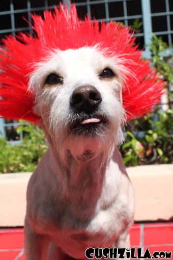 Red Spiky Punk Wig for Cats / Punk Wig for Dogs