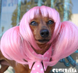 Pink Wig for Cats / Wig for Dogs