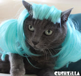 Aqua Blue Pet Wigs for Cats / Wigs for Dogs