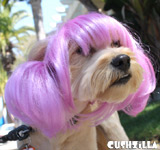 Lavender Pet Wigs for Cats / Wigs for Dogs