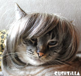 Gray Dog Wig /  Gray Cat Wig - Bowl Cut Pet Wig