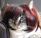 Brunette Dog Wig / Cat Wig - Bowl Cut Pet Wig