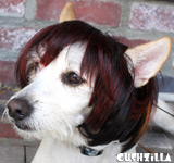 Brunette Dog Wig / Cat Wig - Bowl Cut Pet Wig