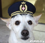 SMALL Pilot Hat for Dog