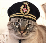 Pilot Hat for Cats: Small, from Cushzilla