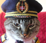 Small Pilot Hat for Cat