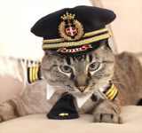 Small Pilot Hat for Cat