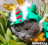 Dragon Costume for Dogs & Cats