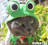 Dog Costume / Cat Costume - FROG