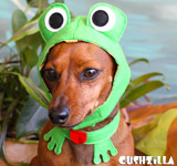 Dog Costume / Cat Costume - FROG