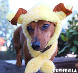A Woof in Sheeps Clothing Costume for Dogs & Cats from Cushzilla
