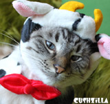 Cow Costume for Dogs and Cats