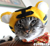 Tiger Costume for Dog or Cat