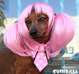 Cat Necktie / Dog Necktie in Preppy Bitch (and Cat) Pink from Cushzilla