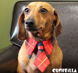 Necktie for Dog / Necktie for Cat - RED PLAID