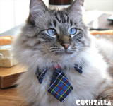 Necktie for Dog / Necktie for Cat - BLUE PLAID