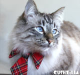 Necktie for Cats / Necktie for Dogs - RED PLAID