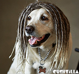 Dreadlock Dog Wig / Dreadlock Cat Wig