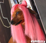 Cat Wig / Dog Wig: Cushzilla Lady Gaga Wig in Paparazzi Pink