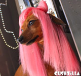 Lady Gaga Cat Wig / Lady Gaga Dog Wig - PINK