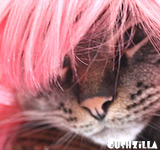 Lady Gaga Cat Wig / Lady Gaga Dog Wig - PINK