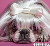 Lady Gaga Cat Wig / Lady Gaga Dog Wig - PLATINUM