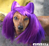 Lady Gaga Cat Wig / Lady Gaga Dog Wig - PURPLE
