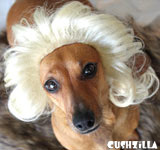 Cushzilla Gentlemen Prefer Blonde Wig for Cats & Dogs
