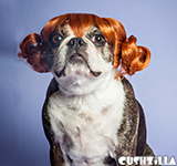 Red Pigtails Wig for Cats / Wig for Dogs