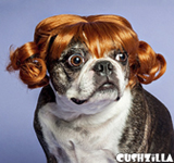 Red Pigtails Wig for Cats / Wig for Dogs