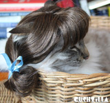 Brunette Pigtails Wig for Cats / Wig for Dogs