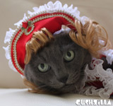 Prince Charming Hat for Cats & Dogs from Cushzilla