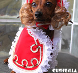 Prince Charming Cape for Cats & Dogs from Cushzilla (CAPE ONLY!)