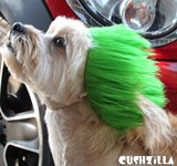 Green Spiky Punk Wig for Cats / Punk Wig for Dogs