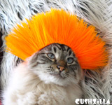 Orange Spiky Punk Wig for Cats / Punk Wig for Dogs